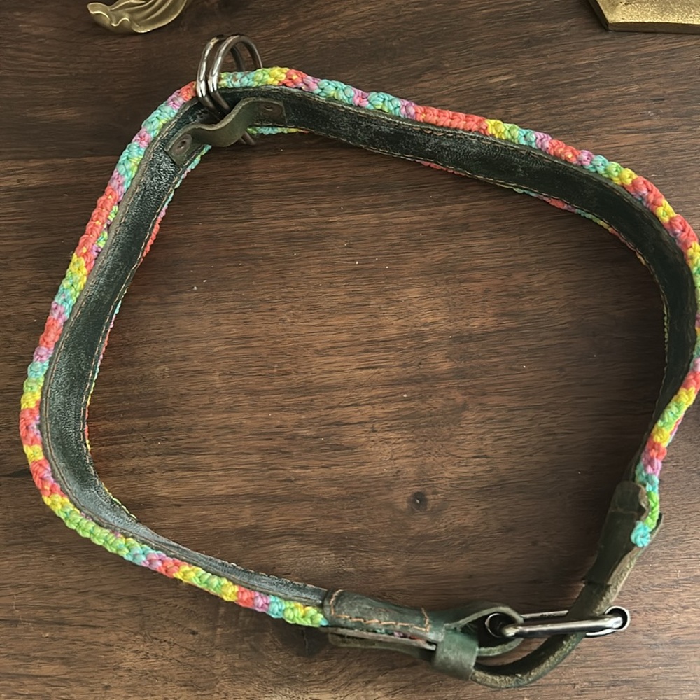 Dog collar - Picture 8 of 9